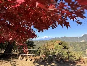 資訊圖片