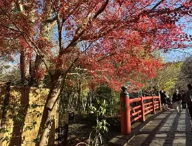 資訊圖片