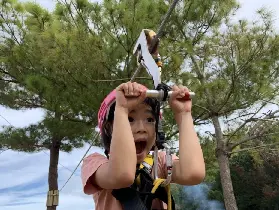 資訊圖片