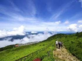 資訊圖片