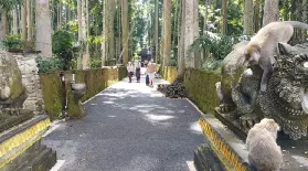 資訊圖片