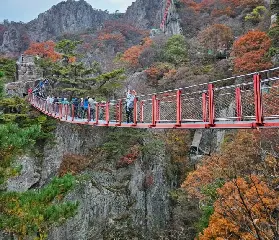 資訊圖片