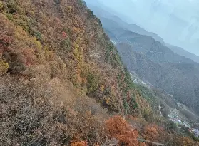 資訊圖片