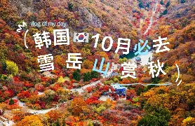 資訊圖片