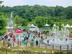 首爾3大水上消暑勝地：2026夏季玩水全攻略