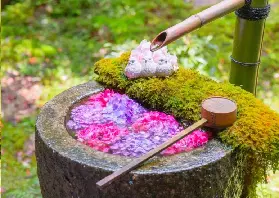 資訊圖片