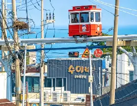 資訊圖片