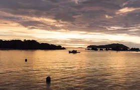 資訊圖片