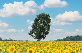 資訊圖片