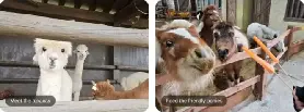 資訊圖片