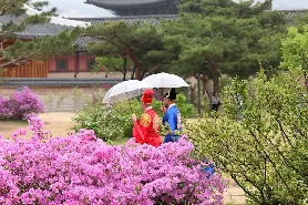 資訊圖片
