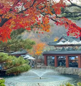 資訊圖片