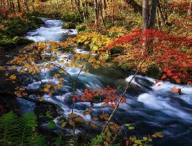 資訊圖片
