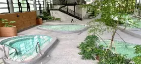 資訊圖片