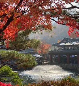 資訊圖片