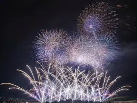 資訊圖片