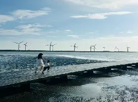 資訊圖片