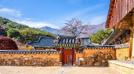 釜山周邊一日遊實測🔥嶺南阿爾卑斯+通度寺超抵玩攻略