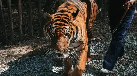 資訊圖片