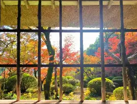 資訊圖片