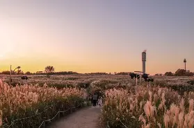 資訊圖片