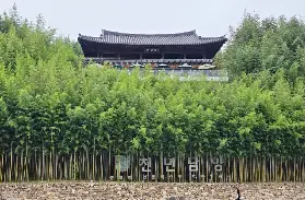資訊圖片