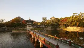 資訊圖片
