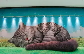資訊圖片