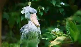 資訊圖片