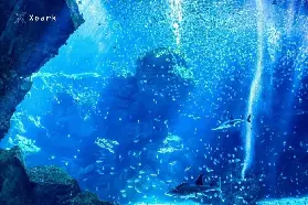 資訊圖片