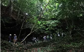資訊圖片