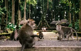 資訊圖片