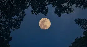 資訊圖片
