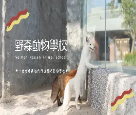 資訊圖片