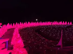 資訊圖片