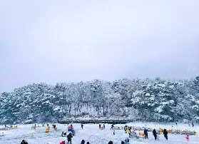 資訊圖片