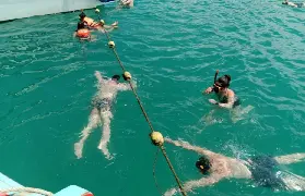 資訊圖片