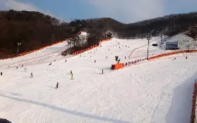 資訊圖片