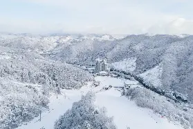 資訊圖片