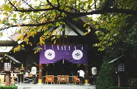資訊圖片