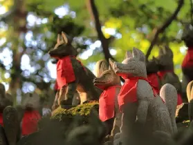 資訊圖片