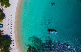資訊圖片