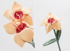 資訊圖片