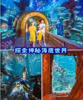 資訊圖片