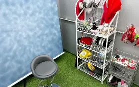 資訊圖片