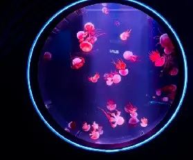 資訊圖片