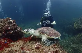 資訊圖片