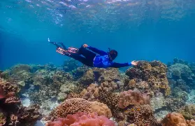 資訊圖片