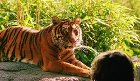資訊圖片