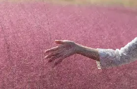 資訊圖片